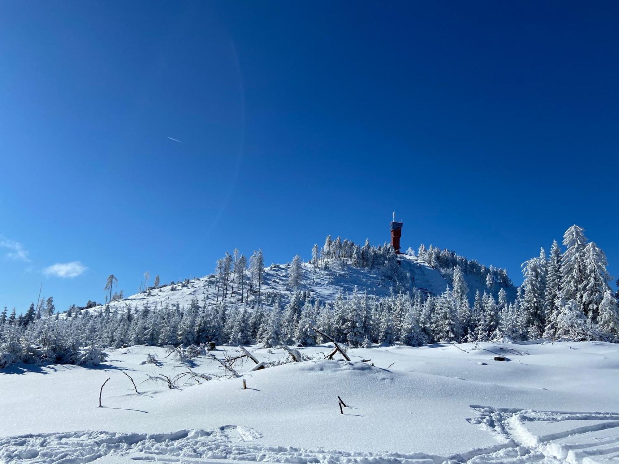 Bergtraum Braunlage Im Harz, 17 Gaeste, Sauna, Pool Villa Eksteriør billede