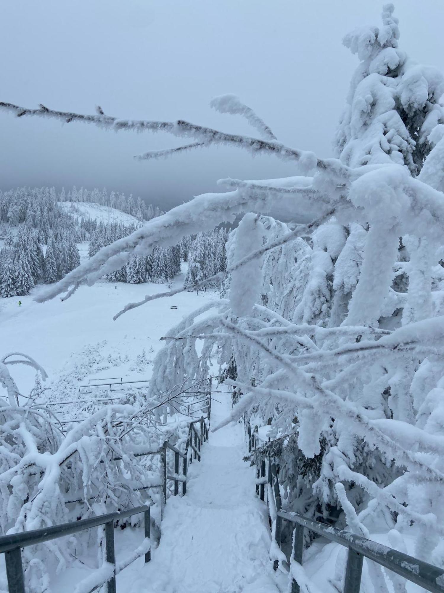 Bergtraum Braunlage Im Harz, 17 Gaeste, Sauna, Pool Villa Eksteriør billede