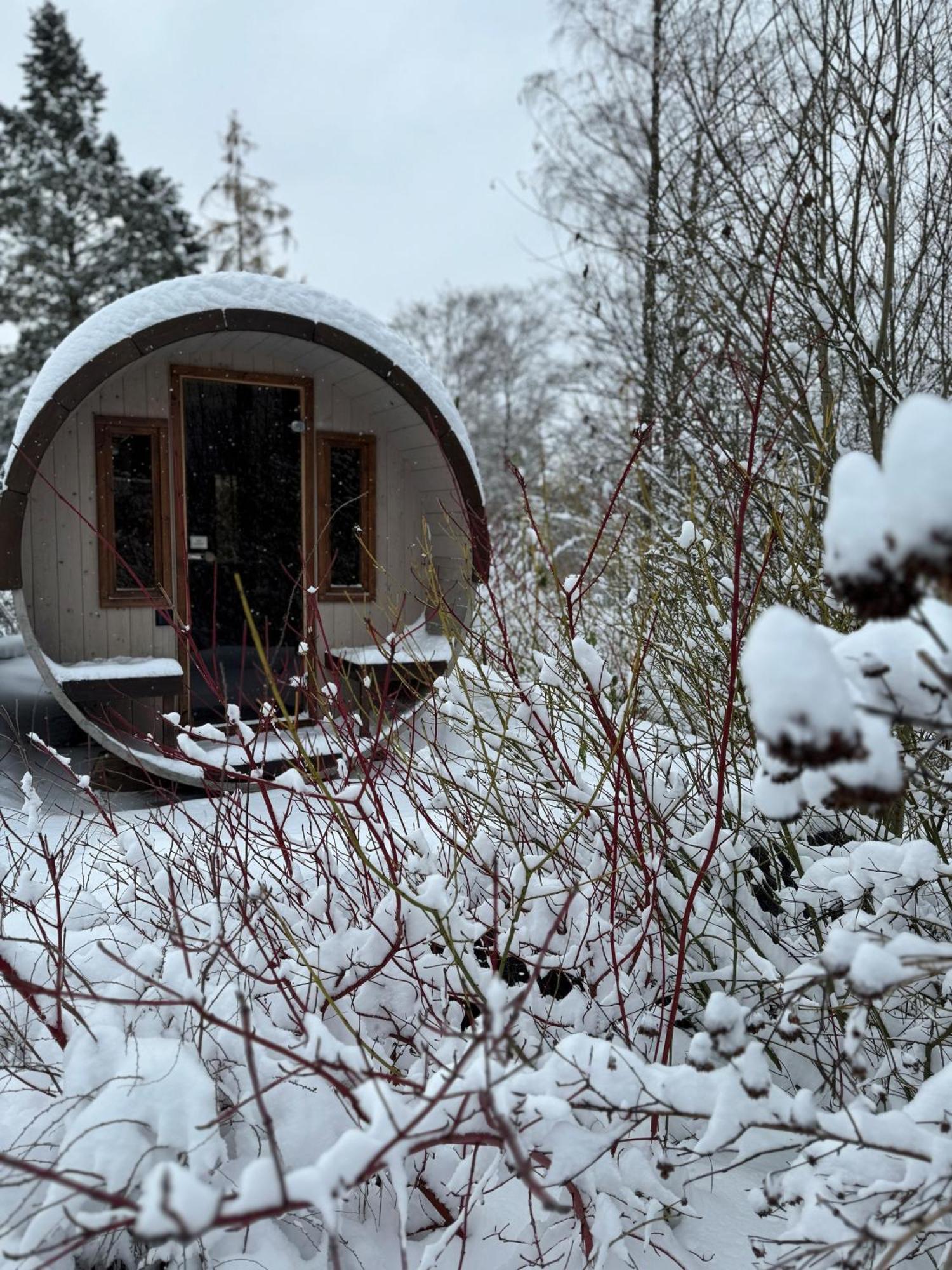 Bergtraum Braunlage Im Harz, 17 Gaeste, Sauna, Pool Villa Eksteriør billede
